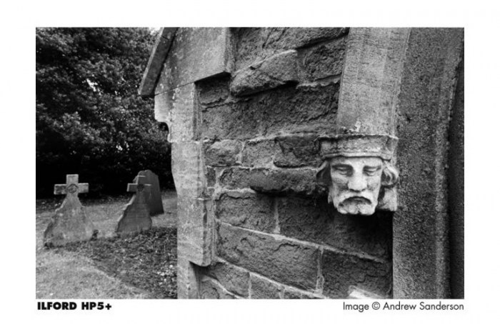 hp5plus_sample image7